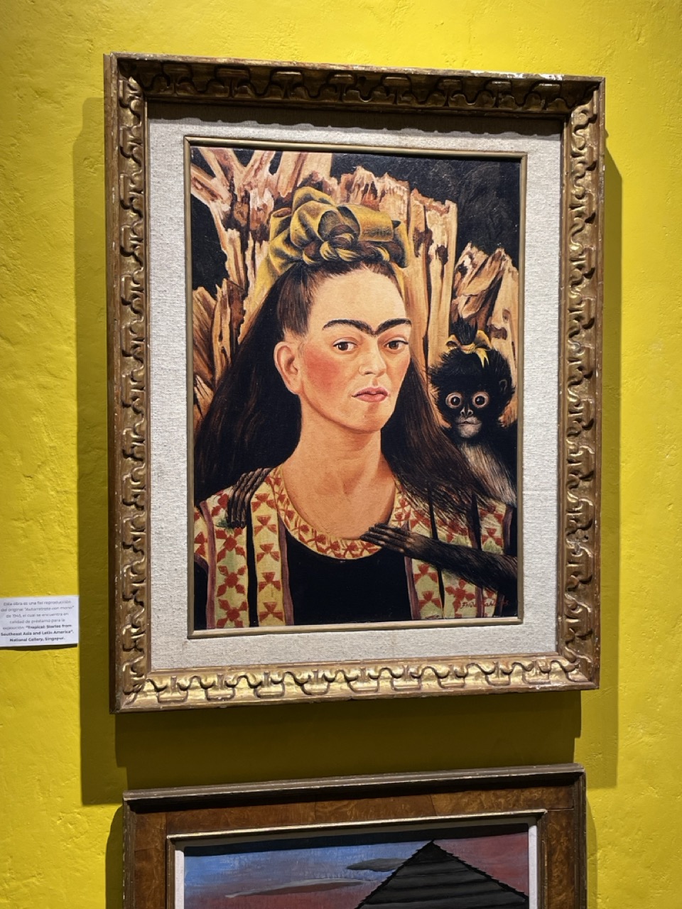  A self portrait of Frida Kahlo, one that she painted with monkeys in the background, hangs in the Robert Brady Museum in Cuernavaca, Mexico