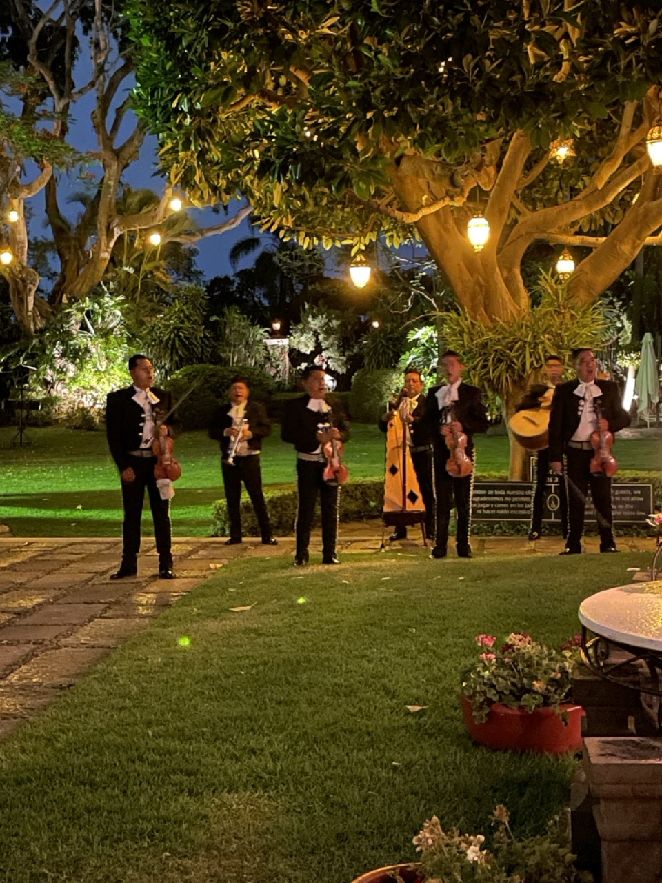 A mariachi band plays their instruments under lights hanging off the trees at Las Mananitas restaurant in Cuernavaca, Mexico.