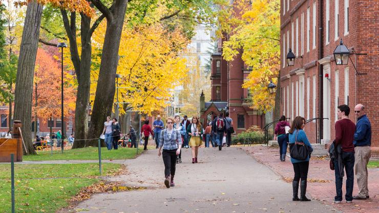 A college campus in fall