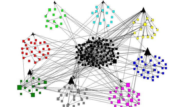 A figure representing Finnigan's social network analysis research