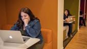 Student looking intently at laptop