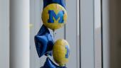 Maize and blue balloons