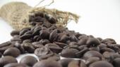 Coffee beans spill from a canvas bag.