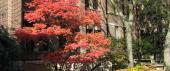 SOE building in the fall